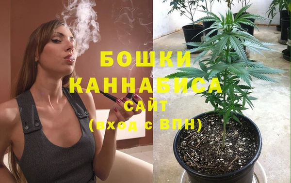 гидропоника Алзамай