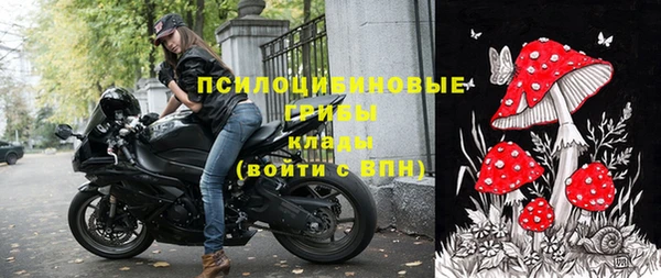 винт Алексеевка