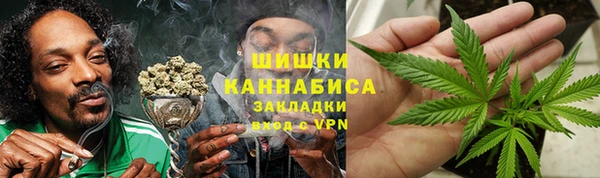 гидропоника Алзамай